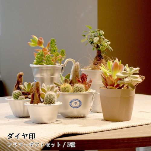 日本最大級の伝統工芸/職人技専門のネットショップ｜ロカルコストア